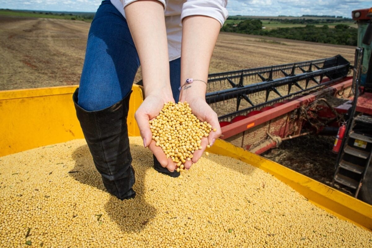 Expectativa para a Safra 2025/2026: Mato Grosso deve manter liderança na produção agrícola