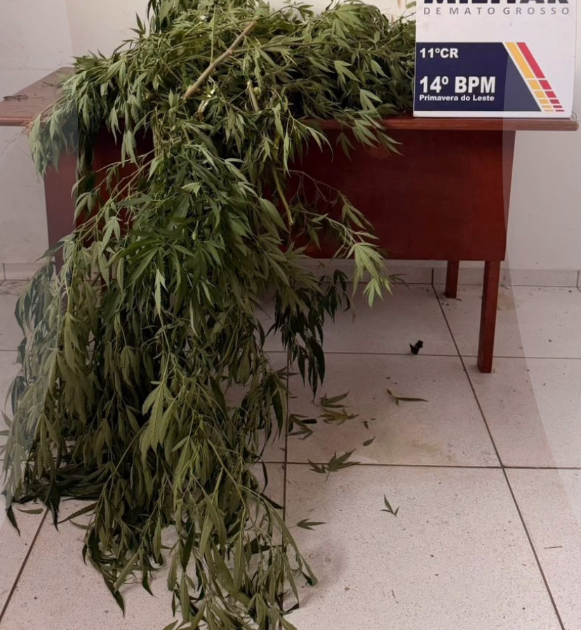 Polícia Militar prende casal por tráfico de drogas após denúncia de violência doméstica em Primavera do Leste